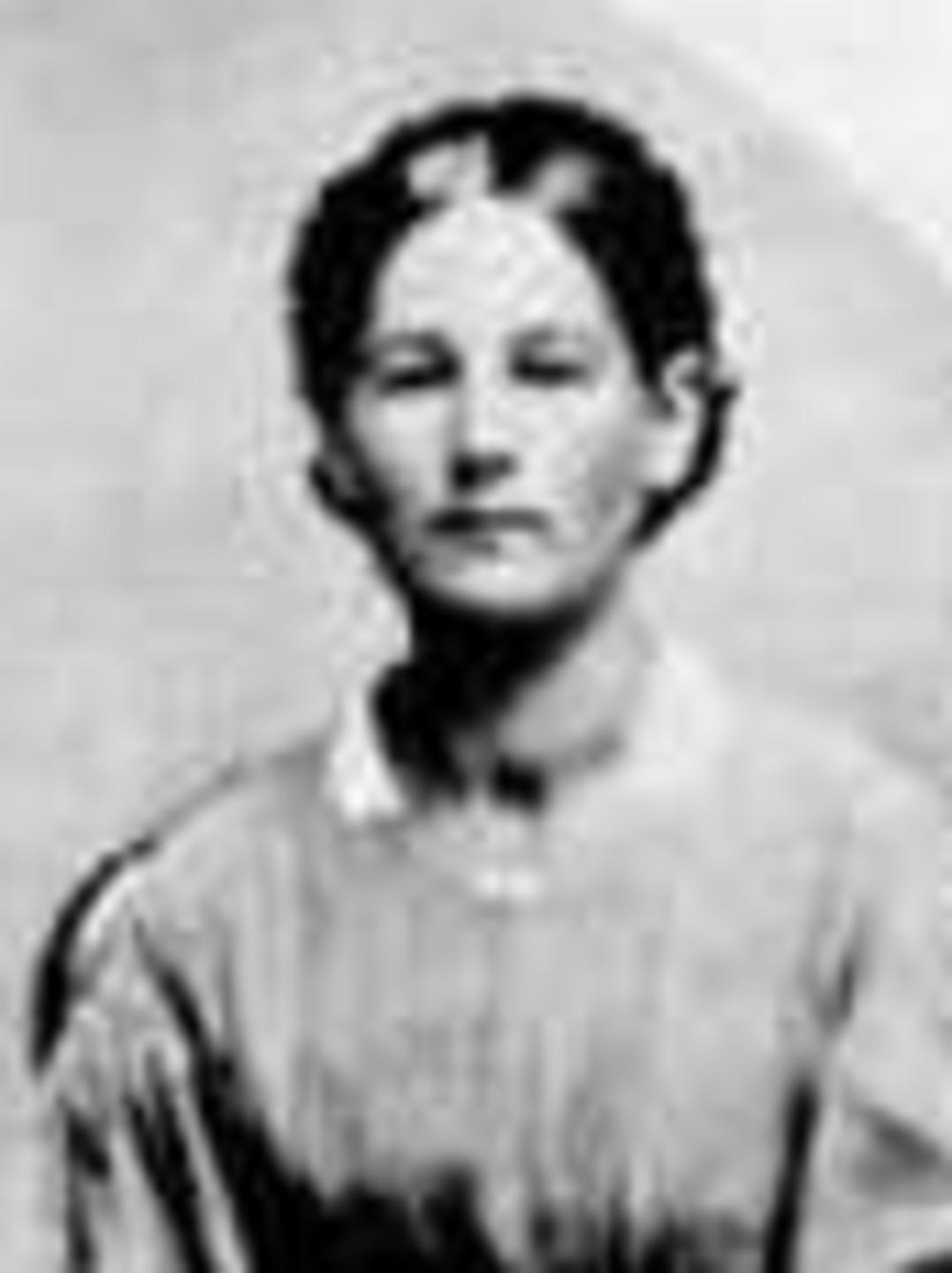 Jane Hamer (1835 - 1919) Profile